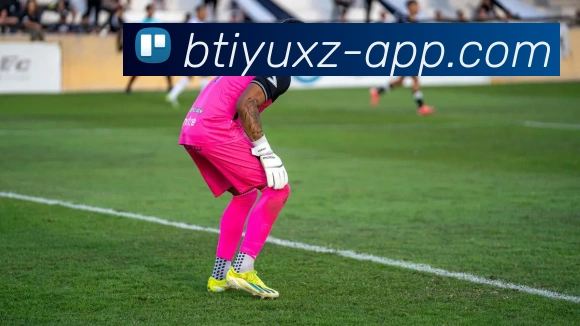 B体育:引领数字化竞技内容传播与交互的新标准APP 封面图